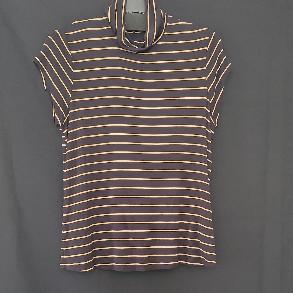 CAbi Short Sleeve Top with Purple and Tan Stripes